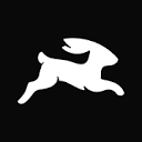 directus.io logo